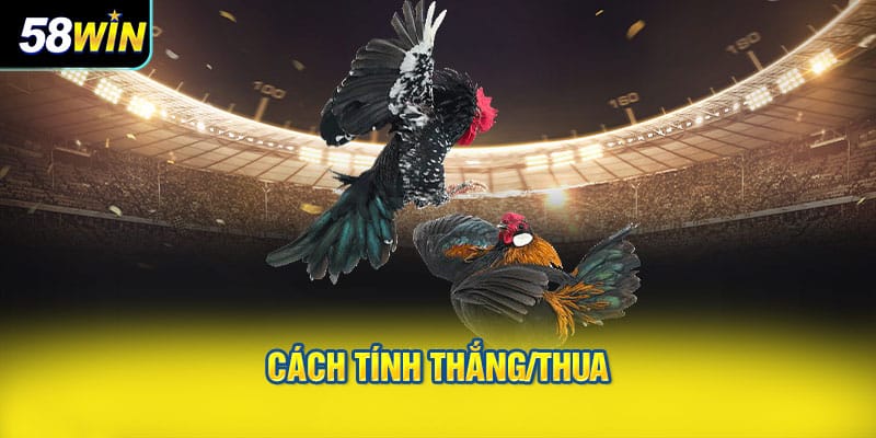 Cách tính thắng/thua