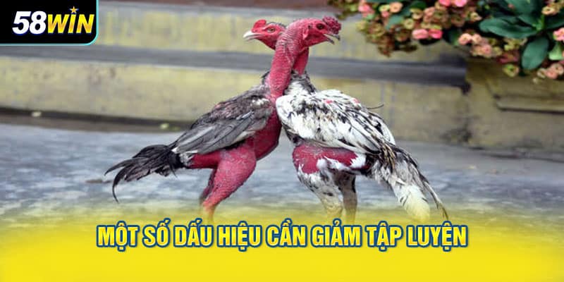 Một số dấu hiệu cần giảm tập luyện